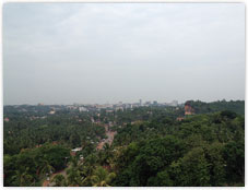 View from 11th floor